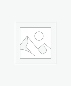 AI Courses